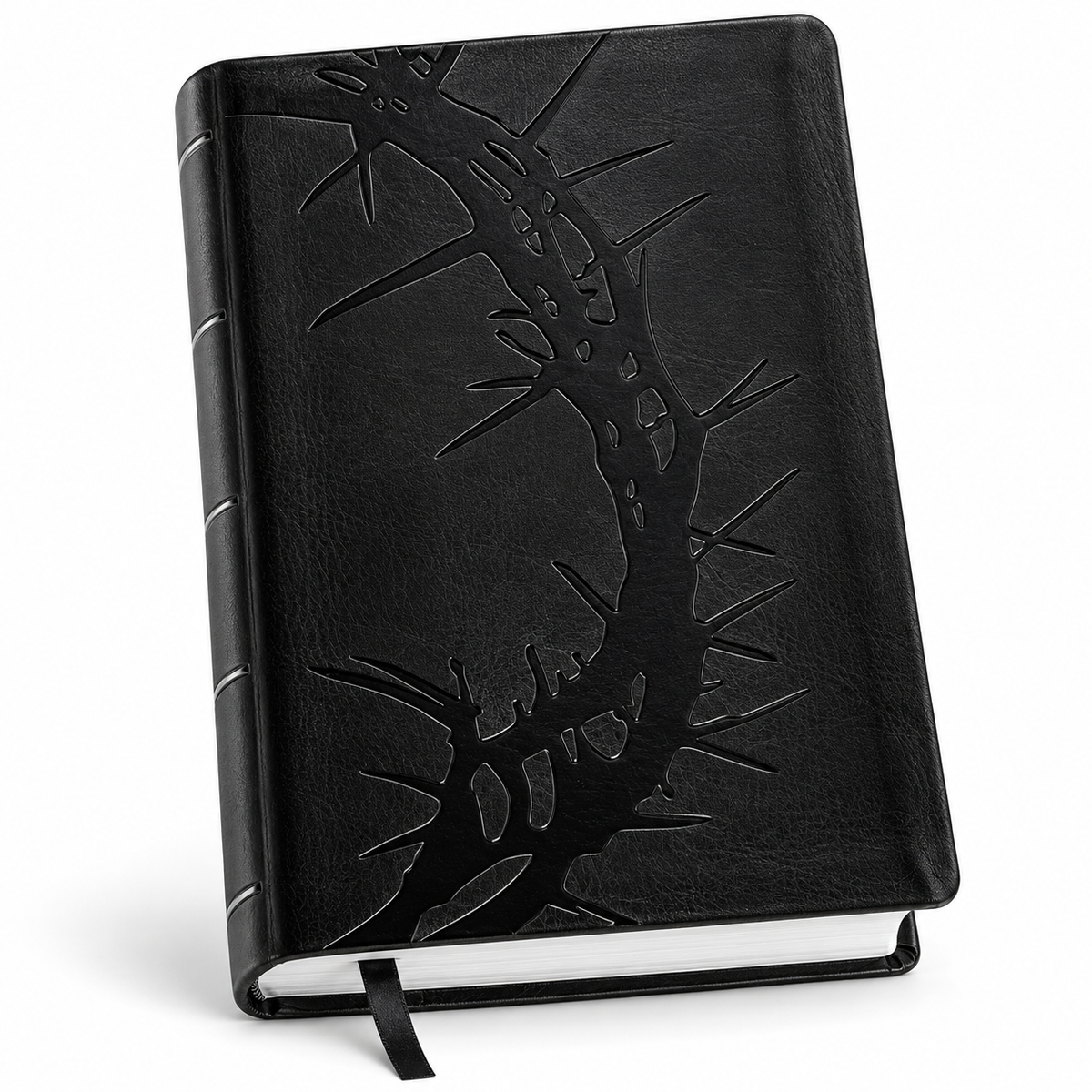 KJV Holy Bible
